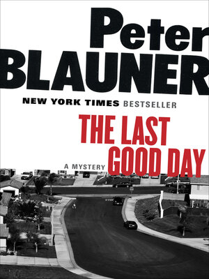 cover image of Last Good Day